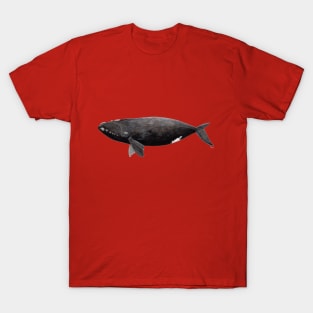 Northern right whale T-Shirt